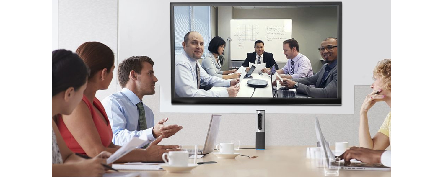 Skype video conference
